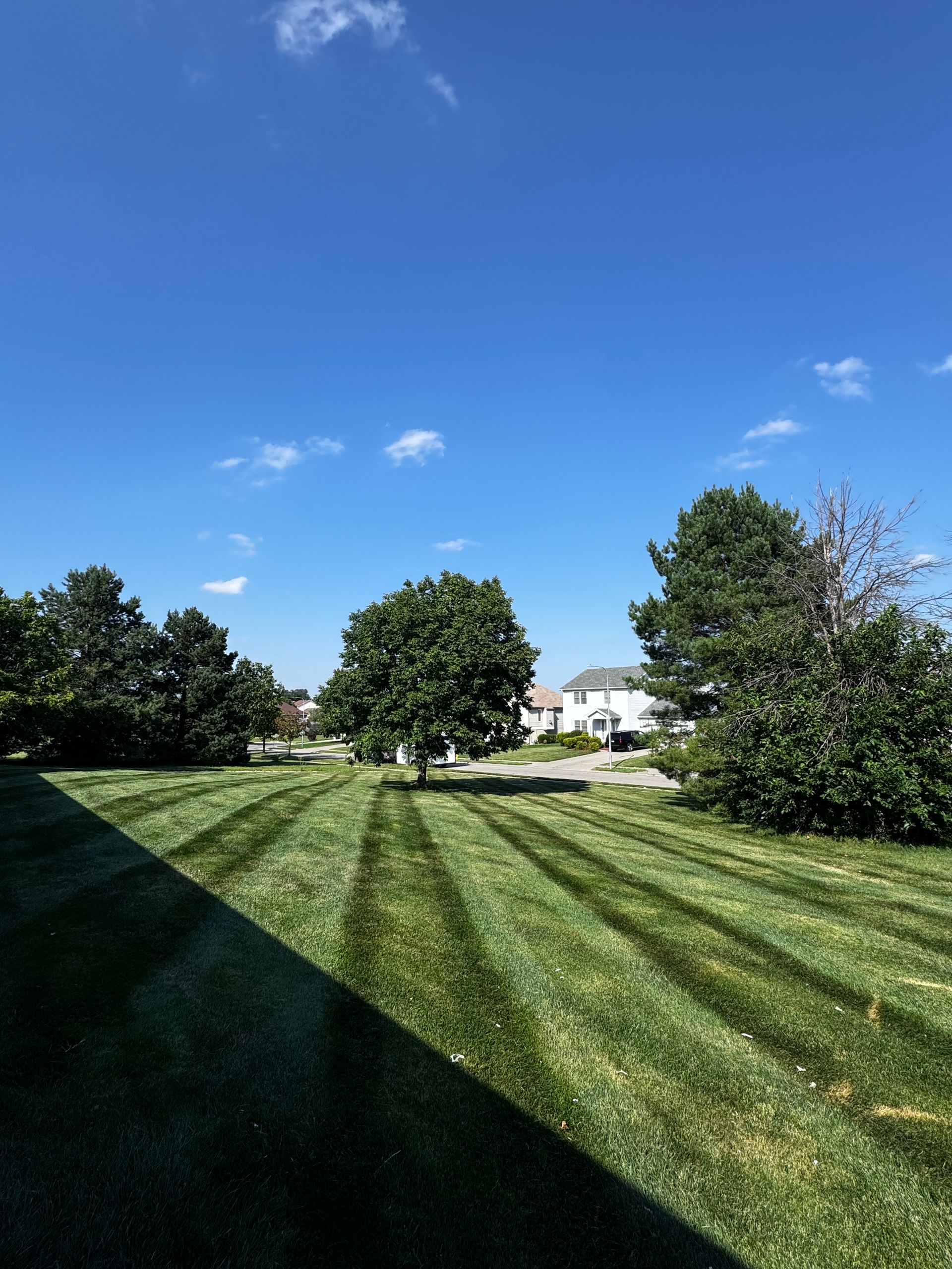 A lush green lawn with a blue sky in the background
