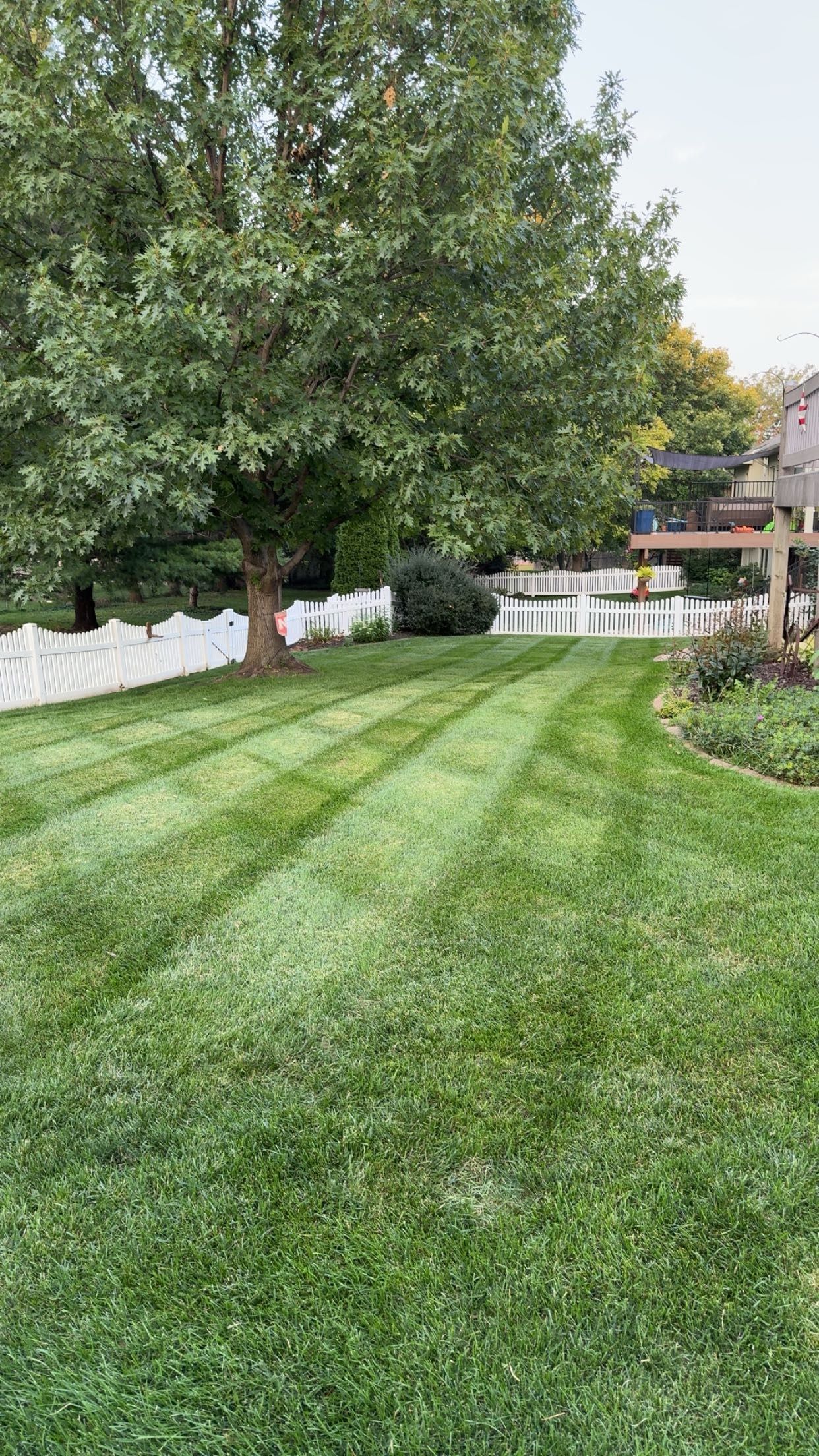 A Man is Using a Lawn Mower to Cut the Grass in a Park