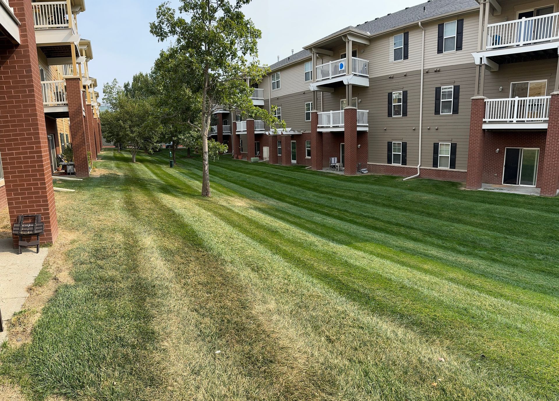 A lush green lawn in front of a brick apartment building.