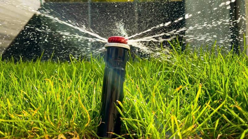 Un arroseur pulvérise de l'eau sur une pelouse verte luxuriante.