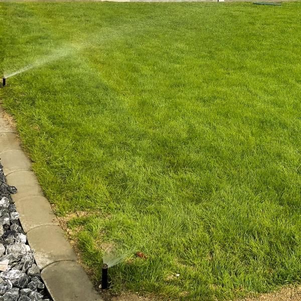 Un arroseur pulvérise de l'eau sur une pelouse verte luxuriante.