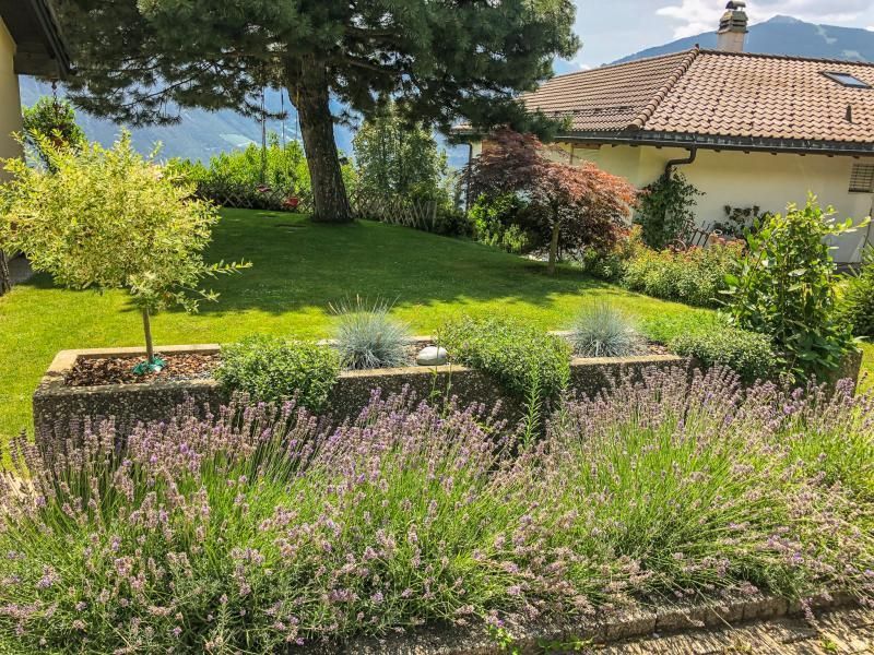 Un jardin avec des fleurs violettes et une maison en arrière-plan