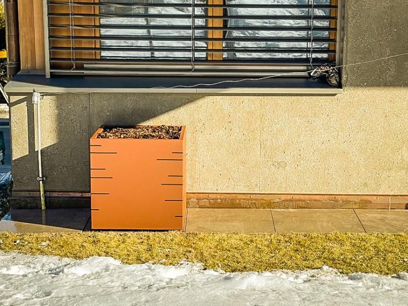 Un planteur d'orangers est posé devant une fenêtre avec des stores.