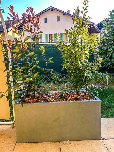 Une jardinière avec des plantes à l'intérieur se trouve sur un patio devant une maison.