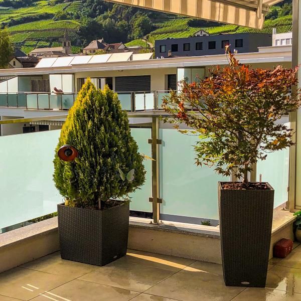 Deux plantes en pot sur un balcon avec une balustrade en verre
