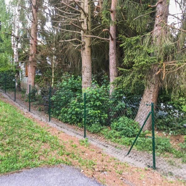 Une clôture verte entoure une forêt verte luxuriante.
