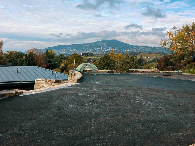 Un toit avec vue sur une montagne et des arbres.