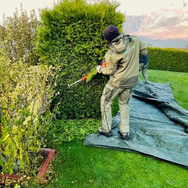 Un homme coupe un buisson avec un taille-haie.