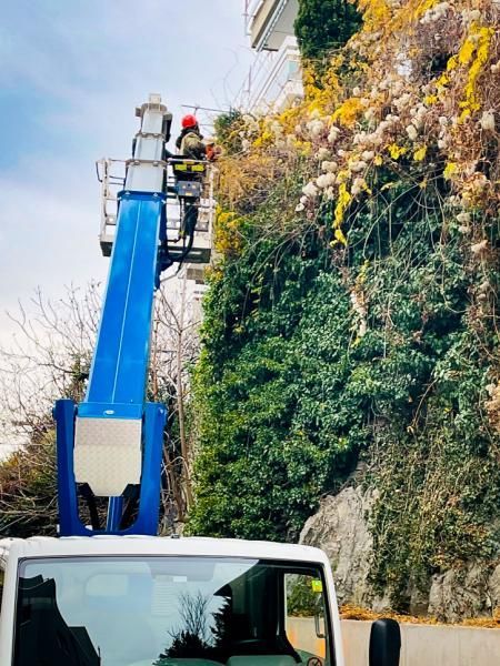 Un homme se tient debout dans un seau au sommet d'une grue.