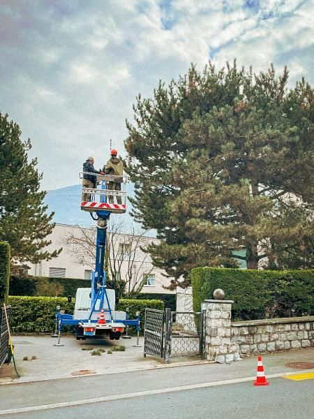 Deux hommes travaillent sur un arbre avec une grue.