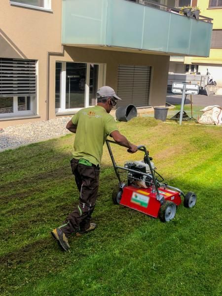 Un homme tond une pelouse verte luxuriante avec une tondeuse à gazon rouge.