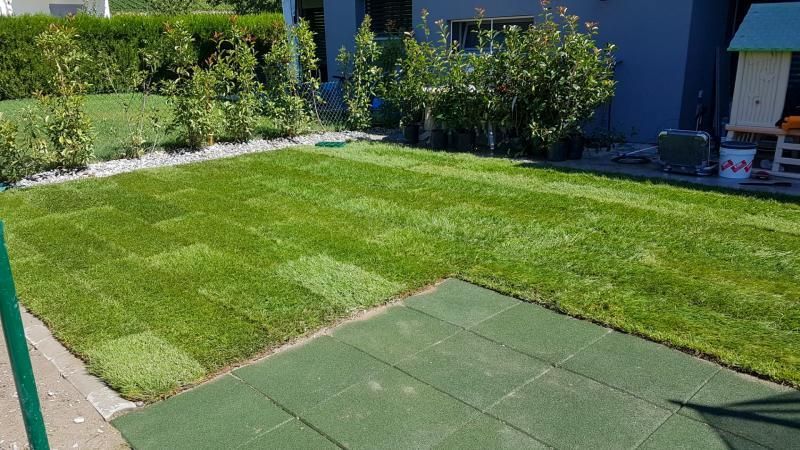 Une pelouse verte luxuriante devant une maison bleue.