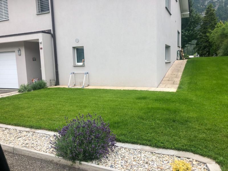 Une maison avec une pelouse verte luxuriante devant elle