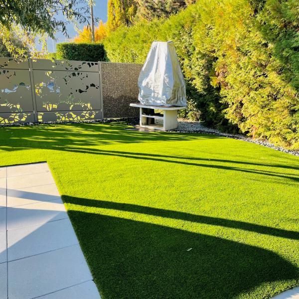 Une pelouse avec un gril et une clôture en arrière-plan