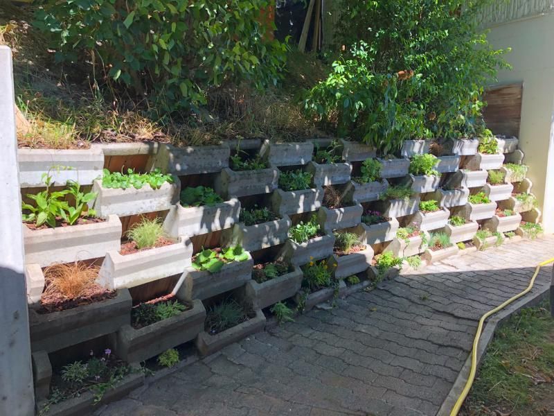 Un mur de briques avec beaucoup de plantes qui poussent dessus
