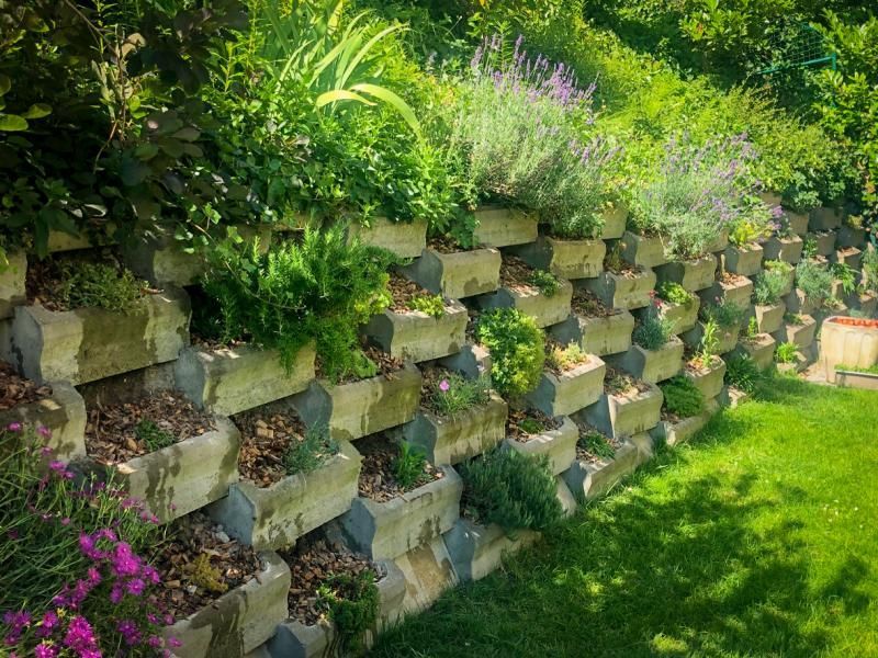 Un mur de pierre entouré de plantes et de fleurs dans un jardin.