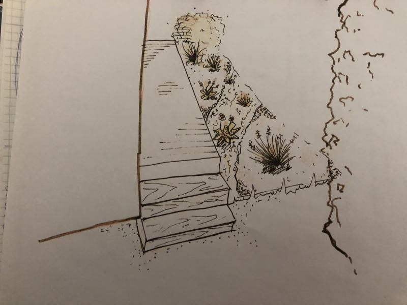 Un dessin en noir et blanc d'escaliers et de plantes