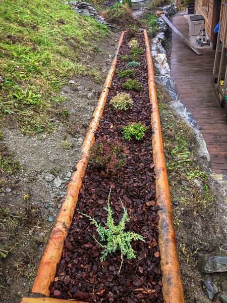 Une rangée de plantes pousse dans une jardinière en bois.