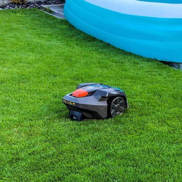 Une tondeuse à gazon robotisée est assise sur une pelouse verte luxuriante à côté d'une piscine.