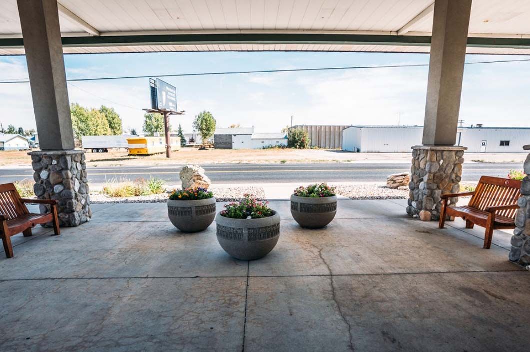 There are three potted plants on the ground in front of a building.
