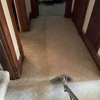 carpet cleaning 10