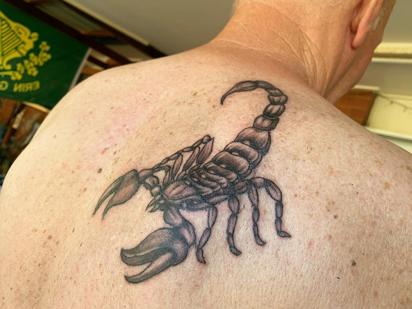 Tattoo of A Detailed Scorpion on A Person's Back, Dark Ink — Thaiger Ink In Holloways Beach, QLD