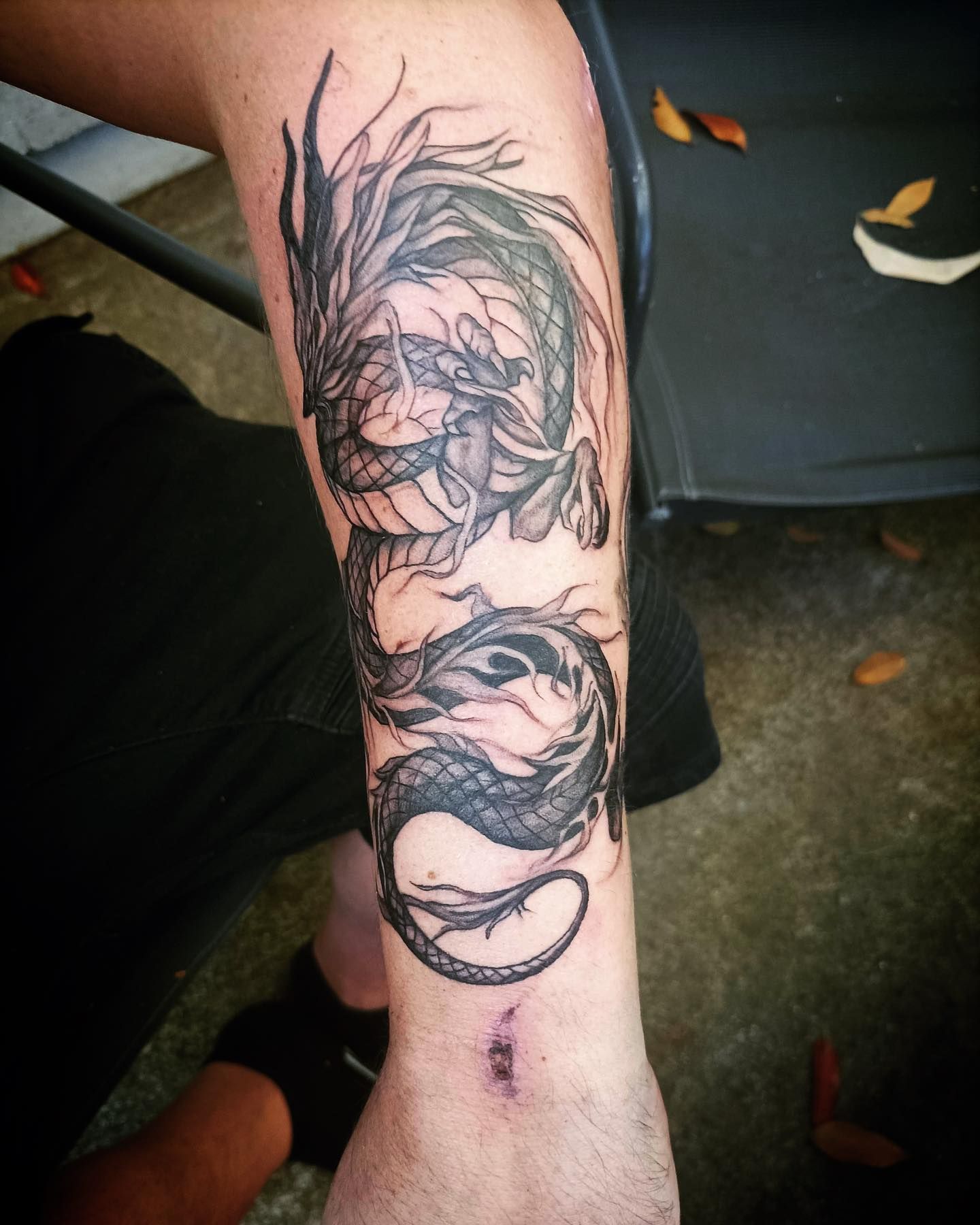 Black and Gray Dragon Tattoo on A Person's Forearm, Coiled and Detailed — Thaiger Ink In Holloways Beach, QLD