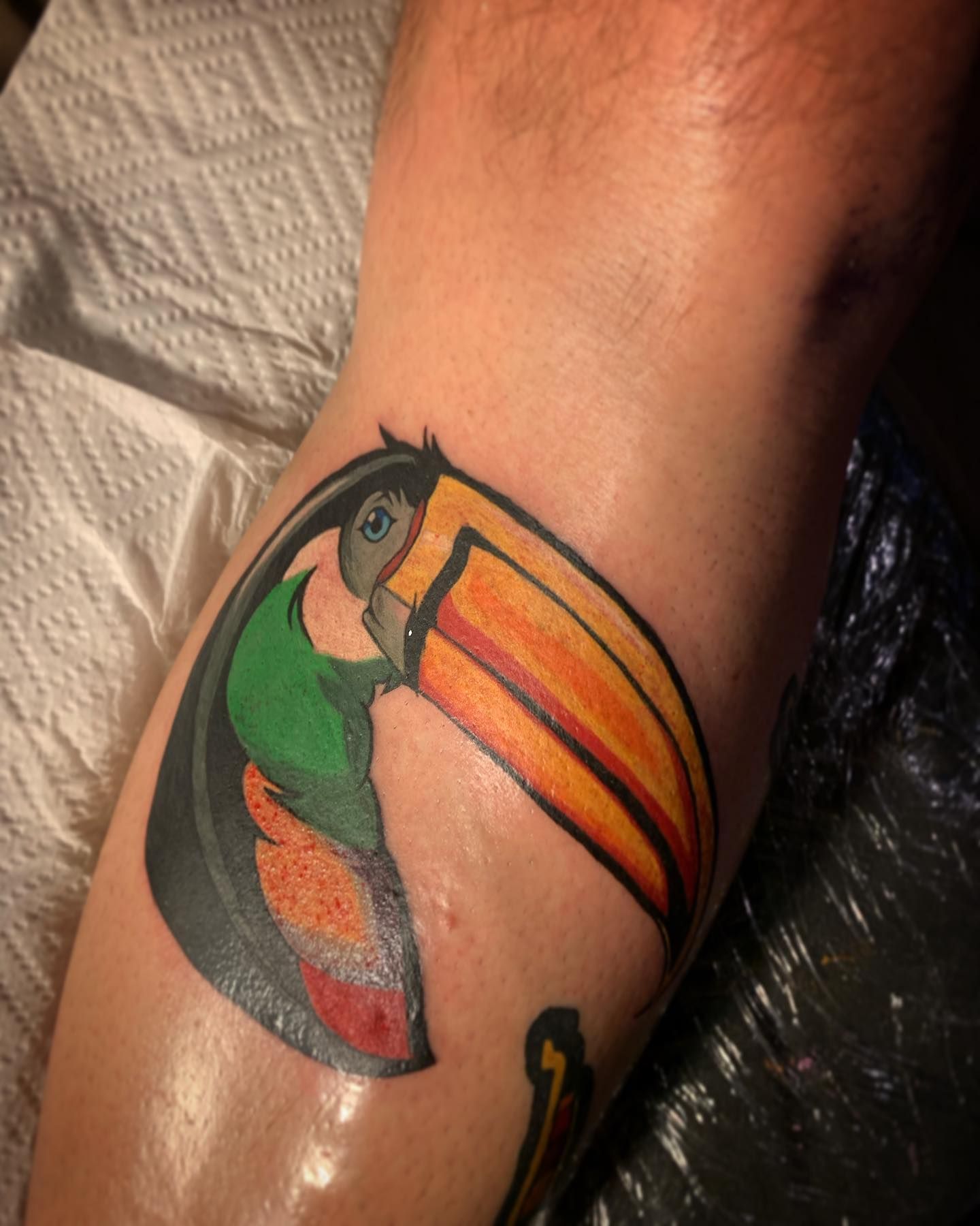 Colourful Toucan Tattoo on A Person's Arm — Thaiger Ink In Holloways Beach, QLD