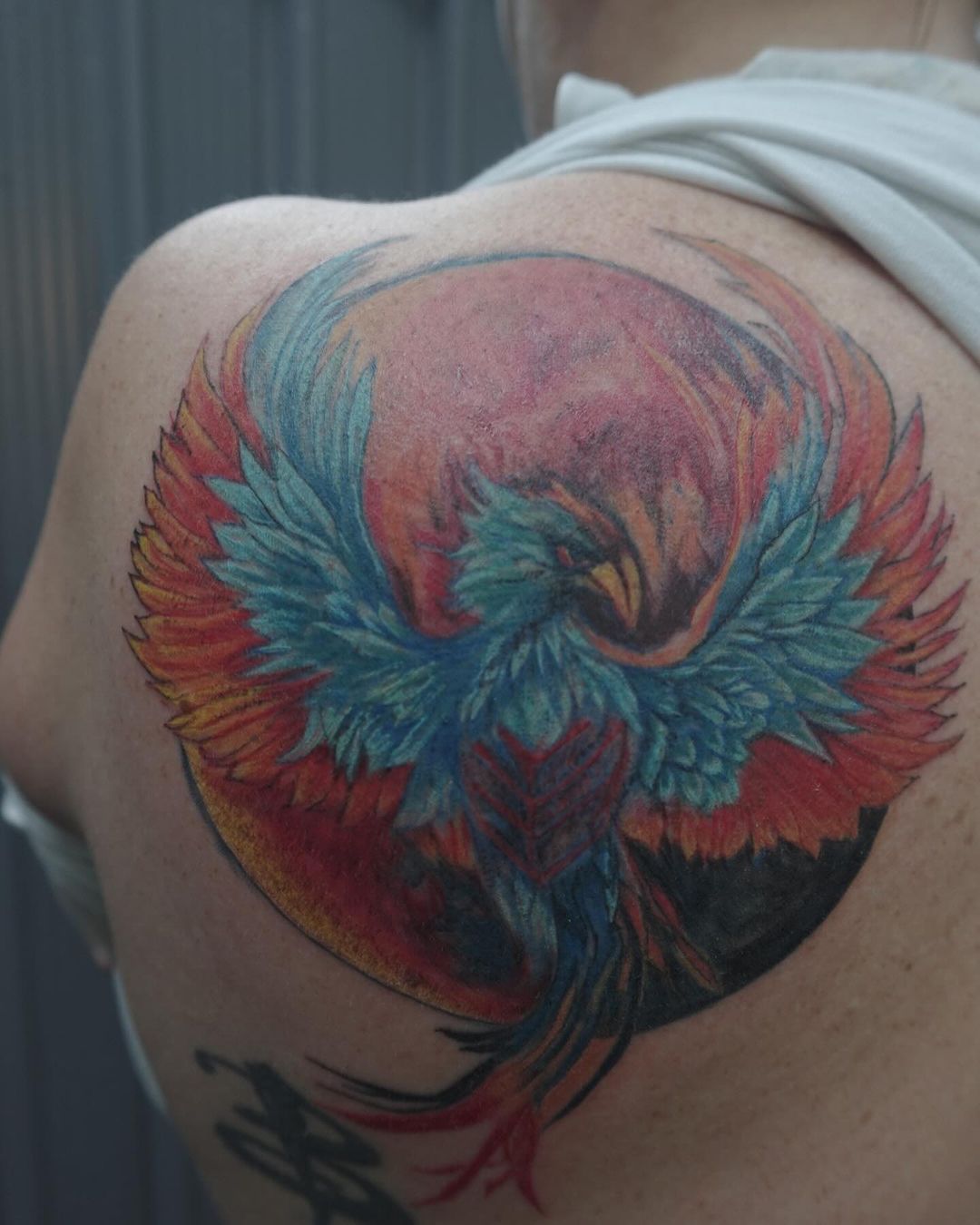 A Woman Has a Colorful Phoenix Tattoo on Her Back  — Thaiger Ink in Holloways Beach, QLD