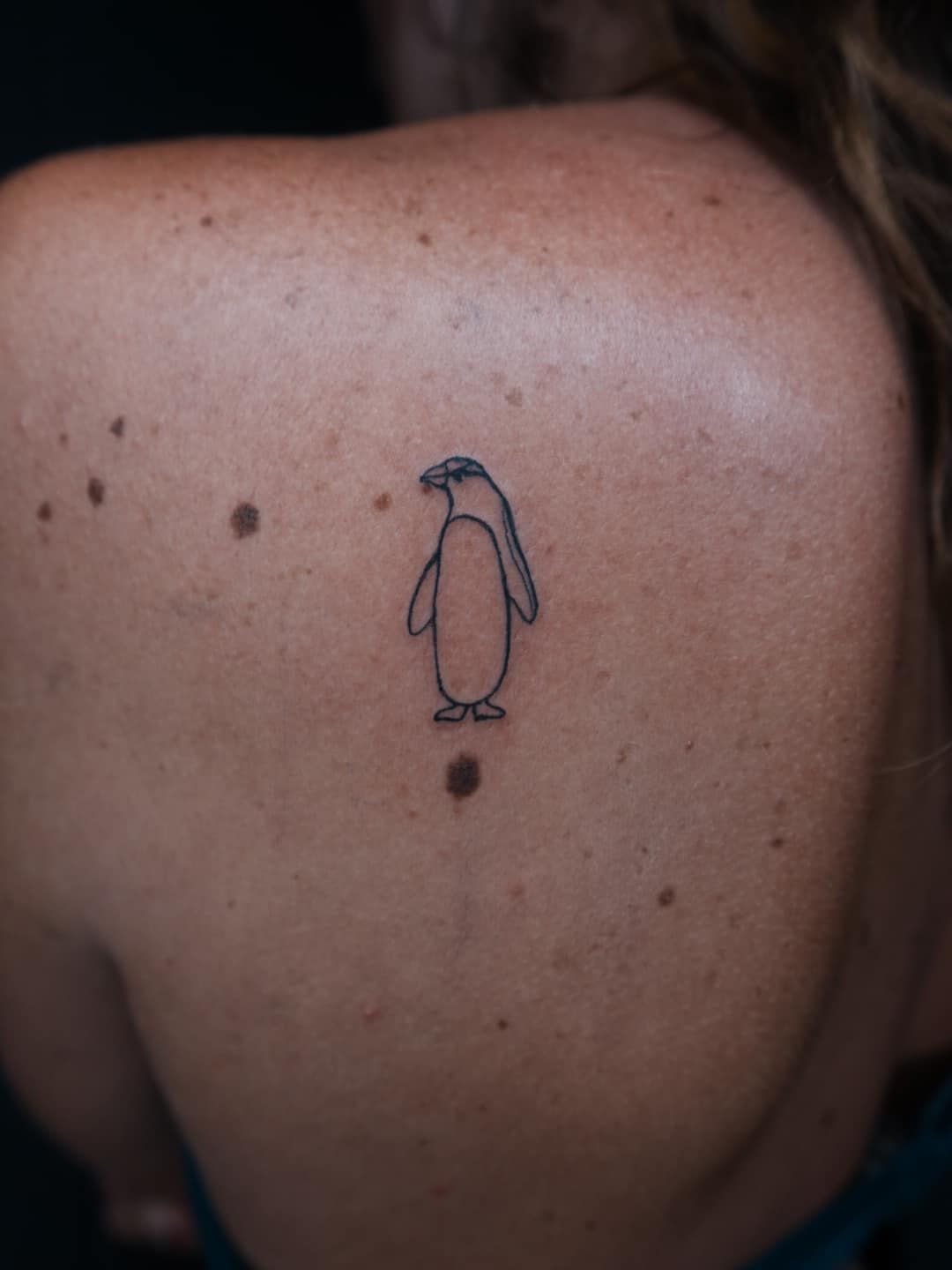Small Penguin Tattoo on A Person's Upper Back — Thaiger Ink In Holloways Beach, QLD