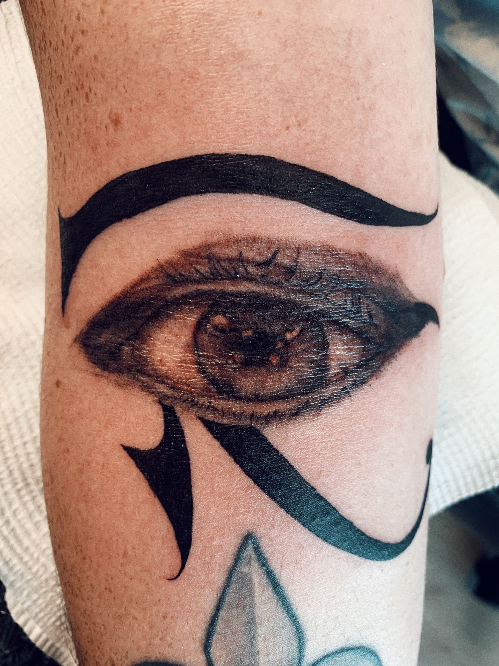 Tattoo of An Eye Within the Eye of Horus Symbol on An Arm — Thaiger Ink In Holloways Beach, QLD