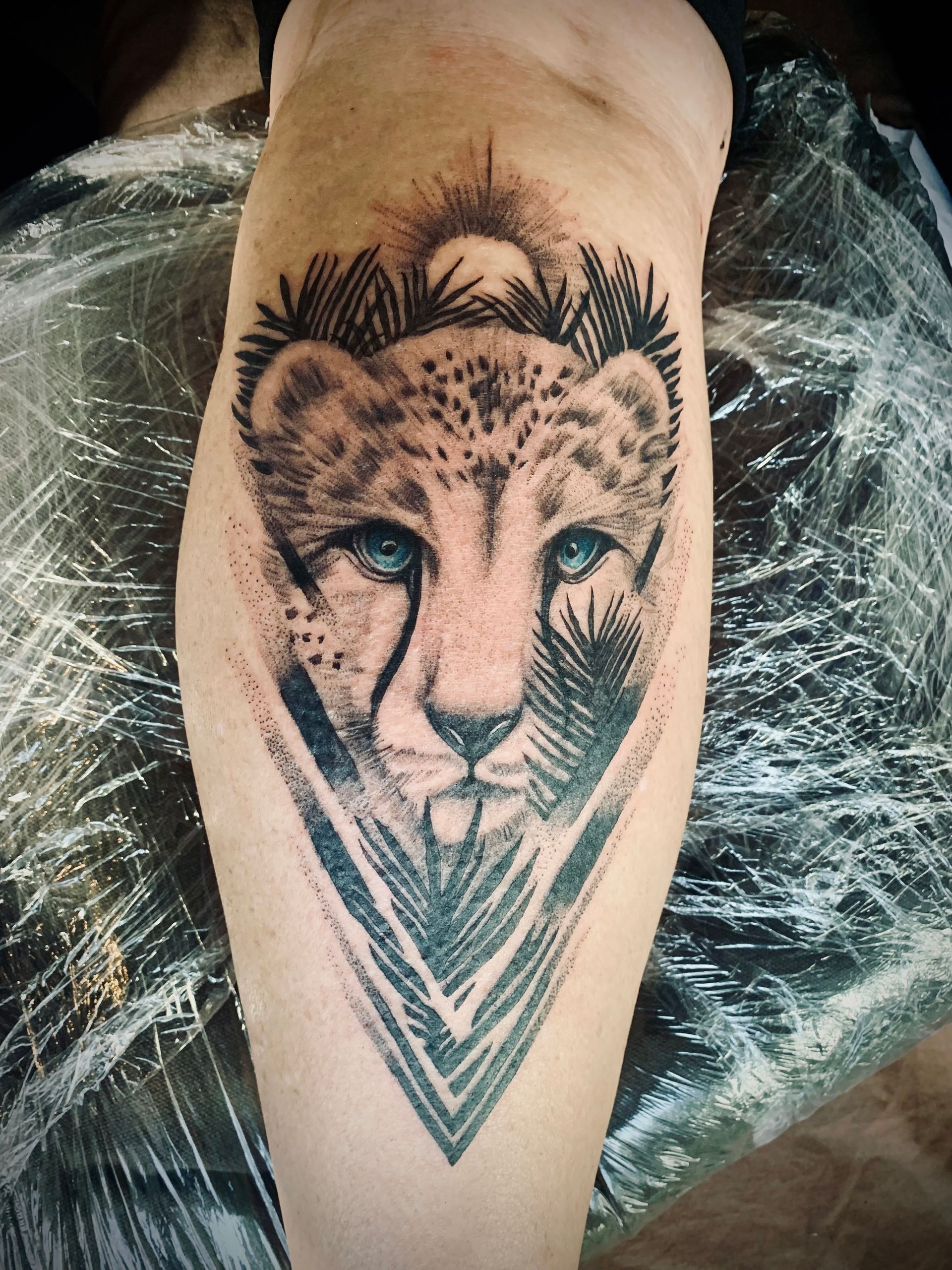 Cheetah Cub Tattoo with Blue Eyes, Surrounded by Foliage Within a Geometric Shape on A Leg — Thaiger Ink In Holloways Beach, QLD