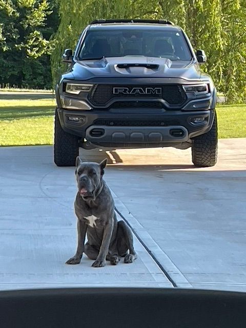 ReJeep Automotive Gallery Image