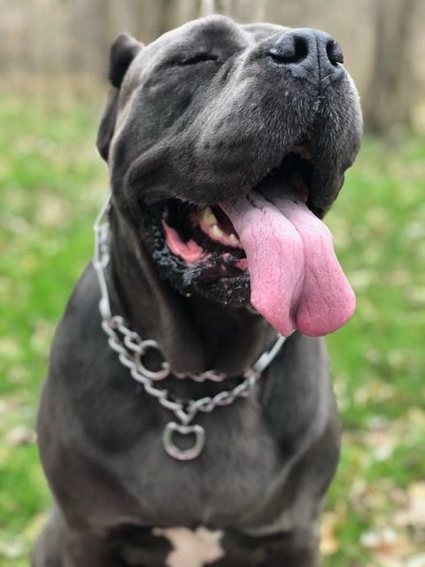 ReJeep Automotive Gallery Image