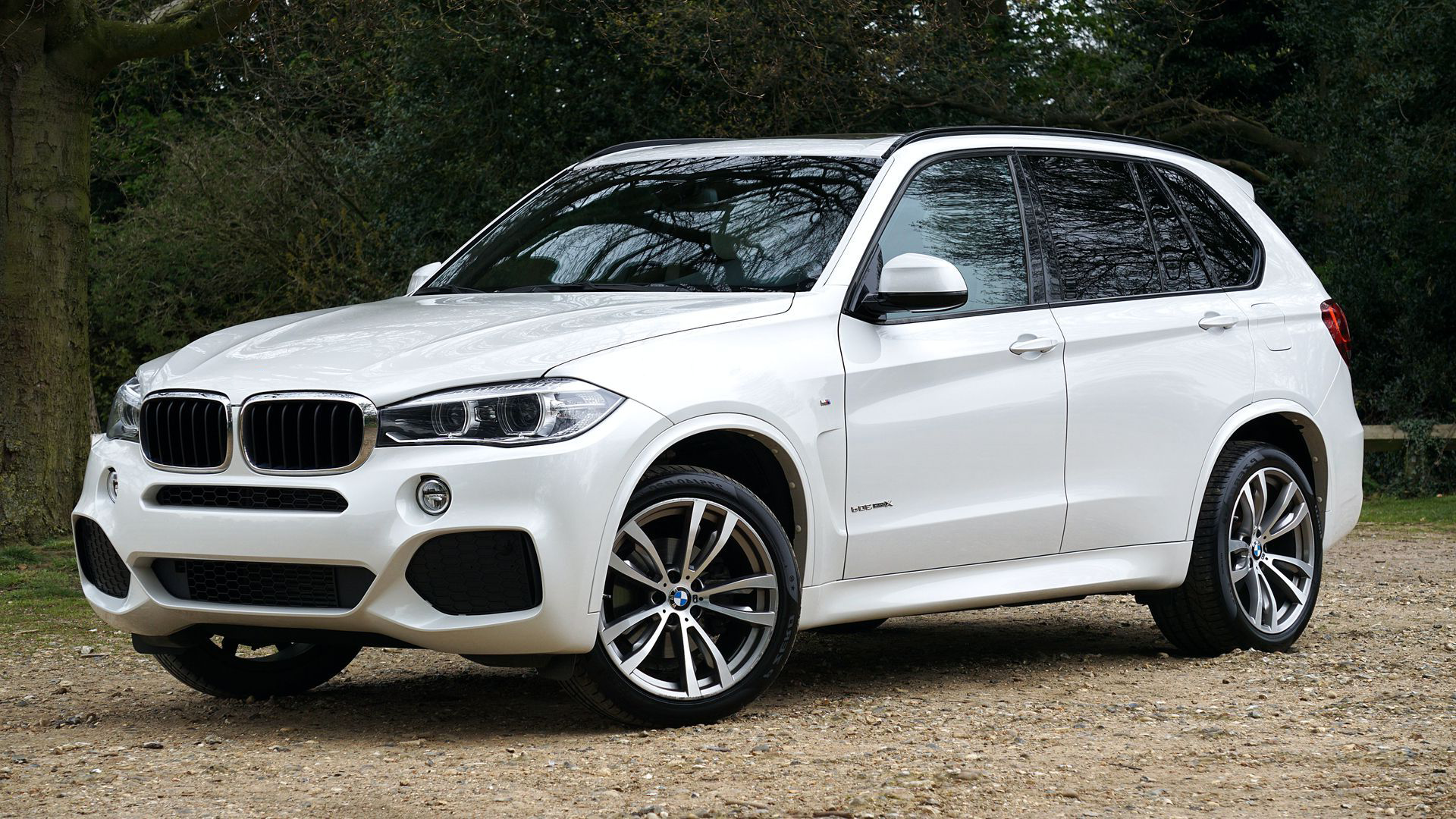 A white BMW X5 SUV parked on a gravel path with a blurred tree background.