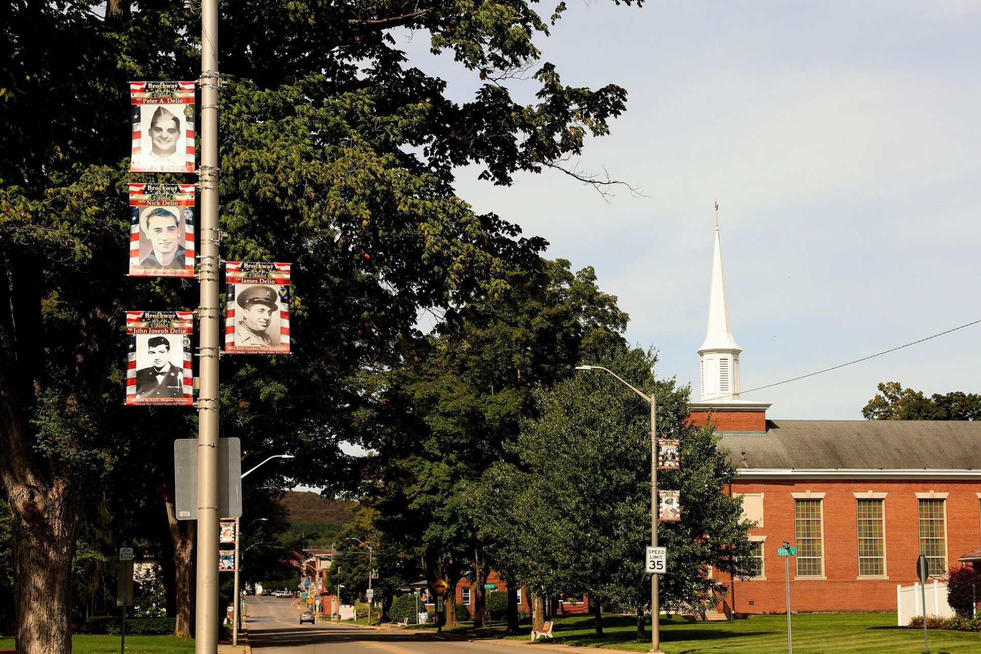 Big Trees — Brockway, PA — Ferraro Kruk And Ferraro LLP