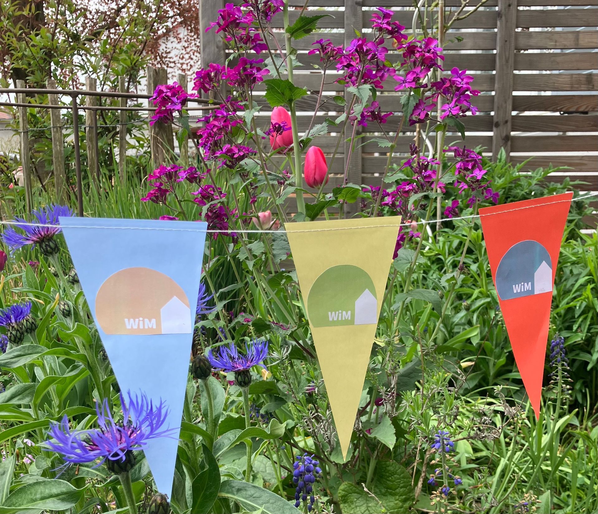 A bunch of flags are hanging in a garden with purple flowers.