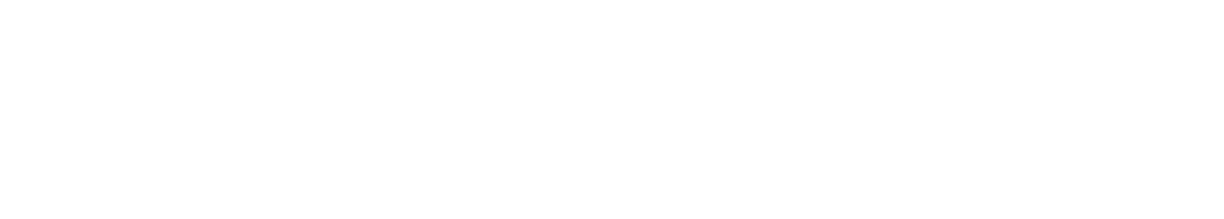 Nancy Molitz Logo