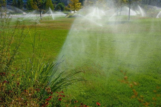 Sistema di irrigazione in funzione