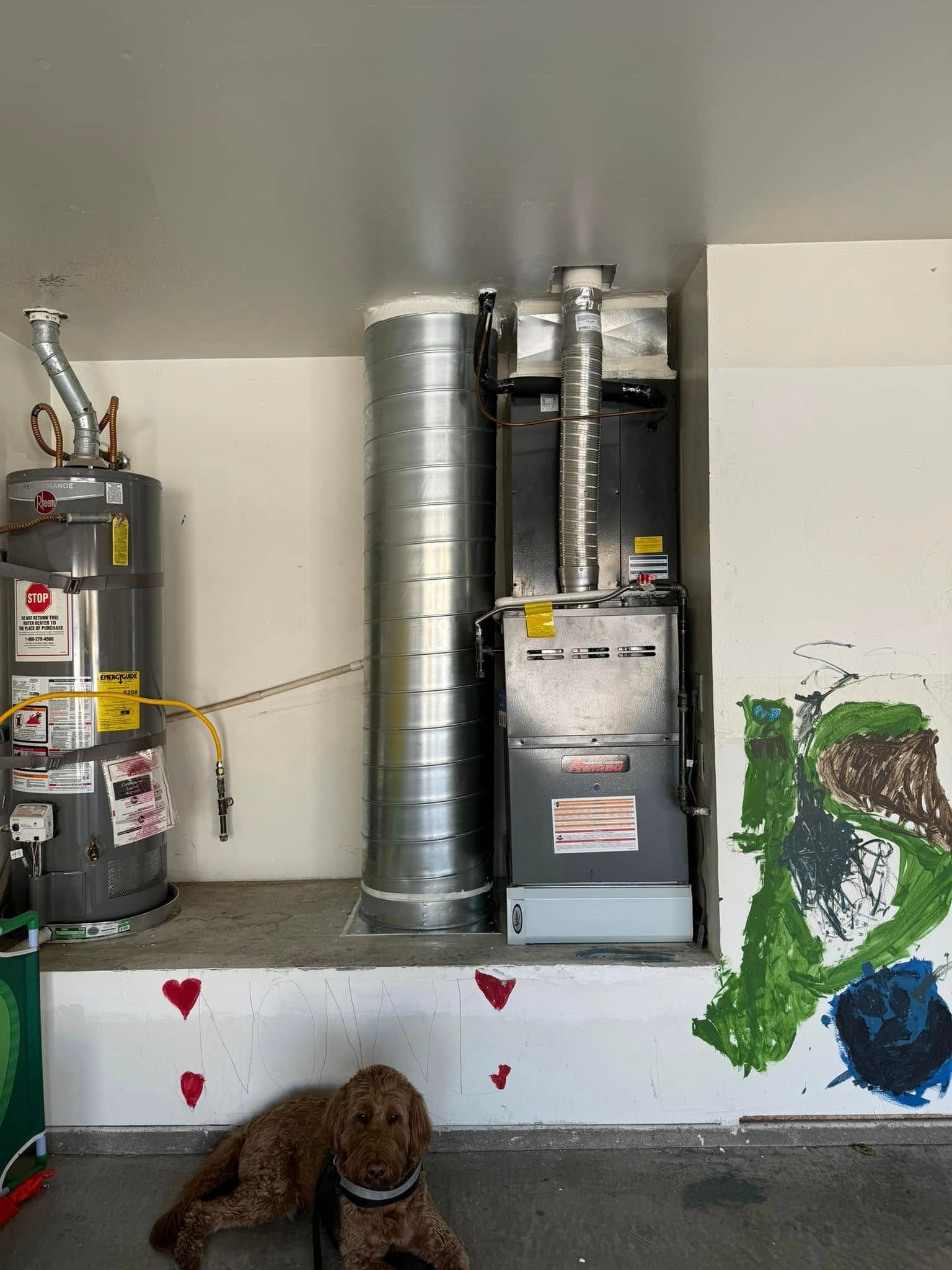 A water heater, furnace, and tall ductwork in a garage; a dog is lying on the floor.