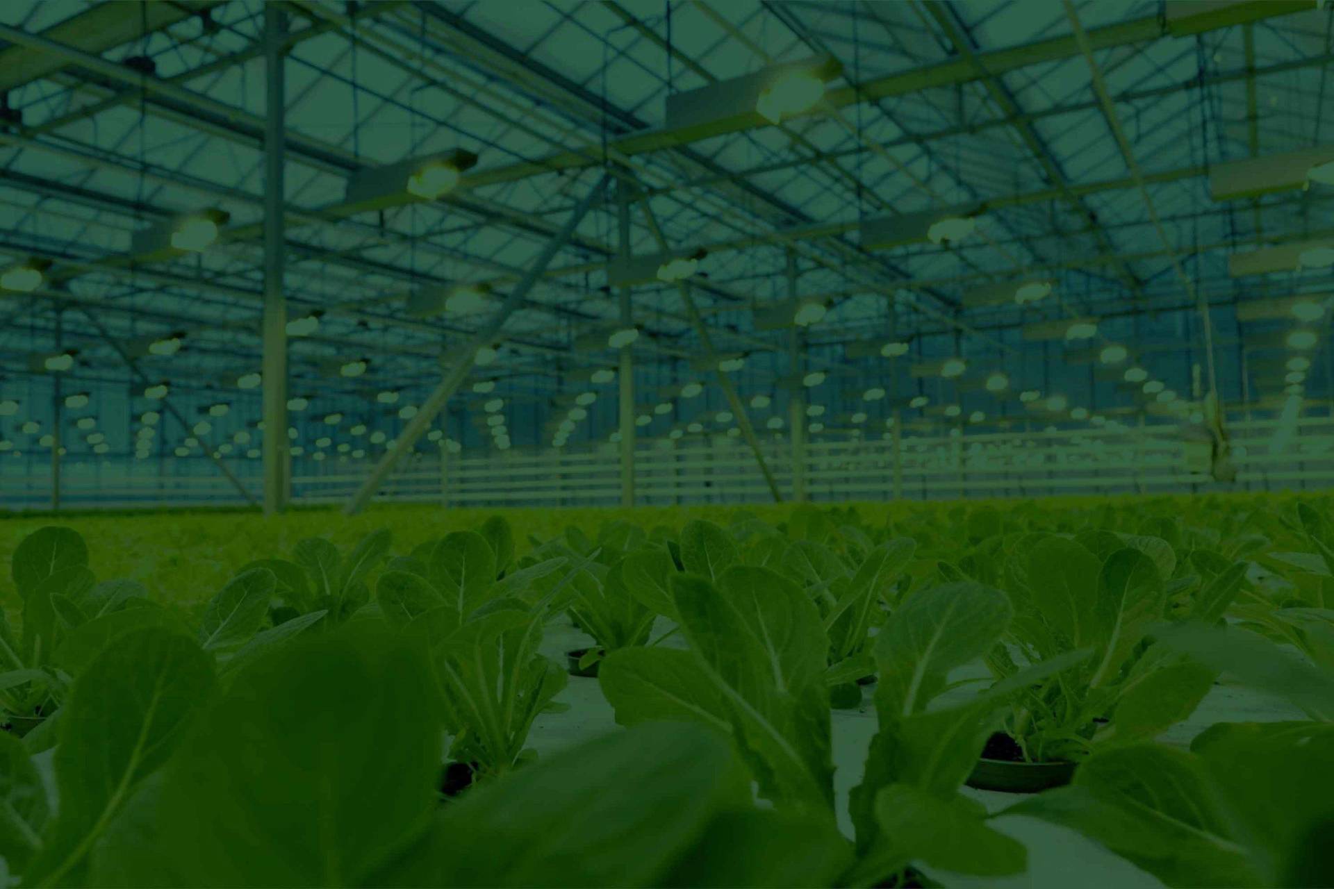 Smart wireless control for large challenging environments like horticulture (green houses, vertical farming)