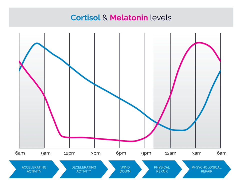 Cortisol & Melatonin levels during the day