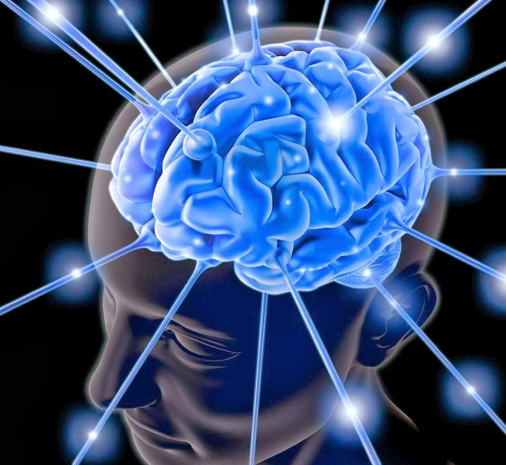 DR. JONATHAN MONDRAGÓN OROZCO - cerebro