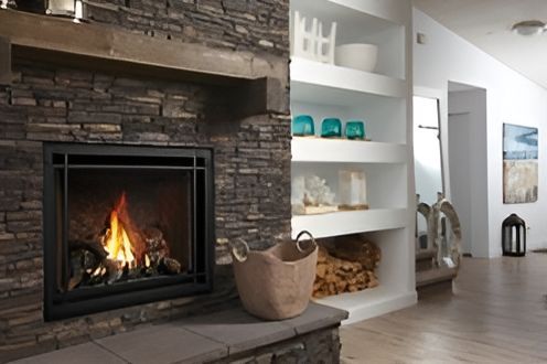 A dog is standing in front of a fireplace in a living room.