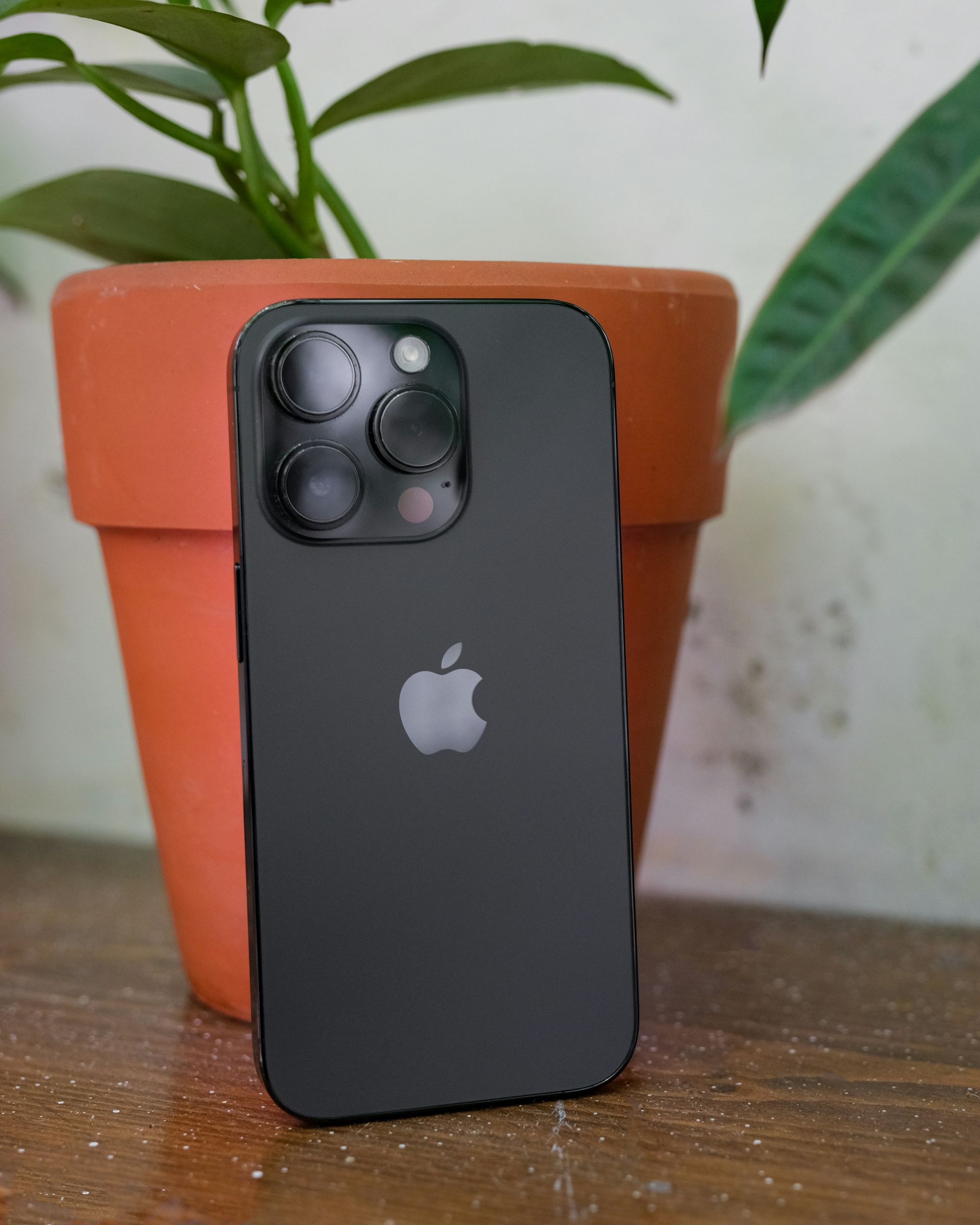 Black iPhone standing on a wooden table in front of an orange plant pot and green leaves