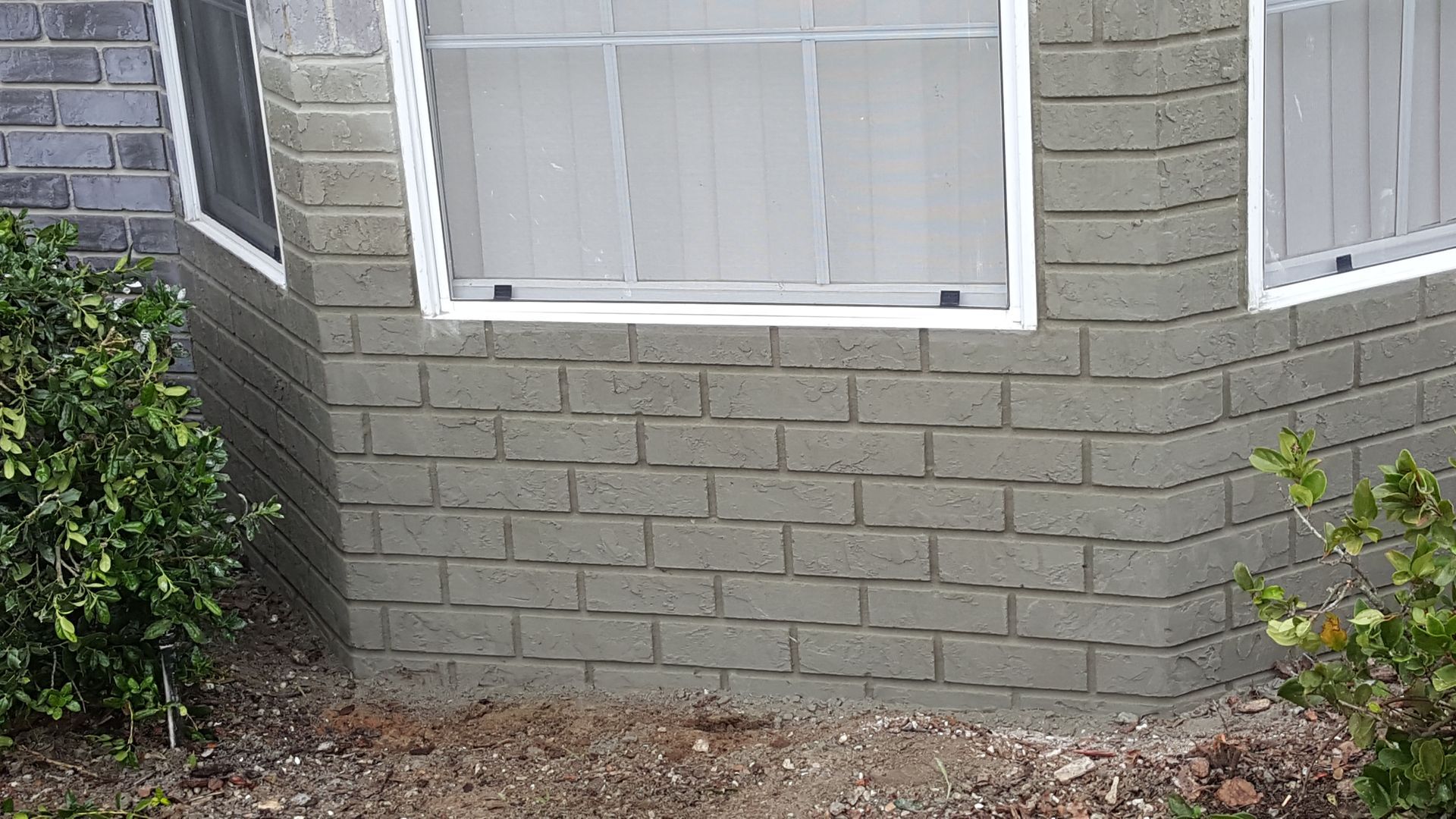 A brick wall with a window and a bush in front of it.