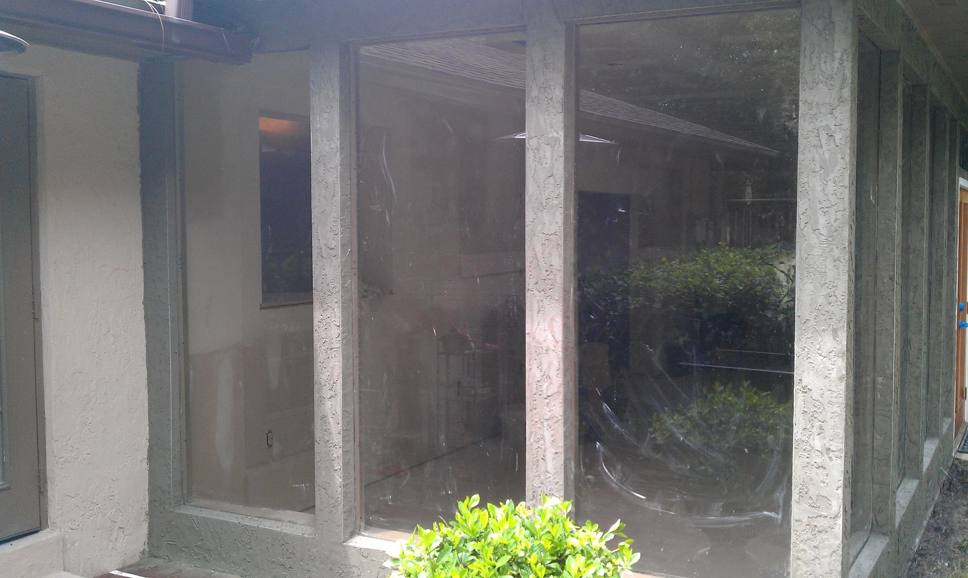 A screened in porch with a lot of windows and a plant in front of it.