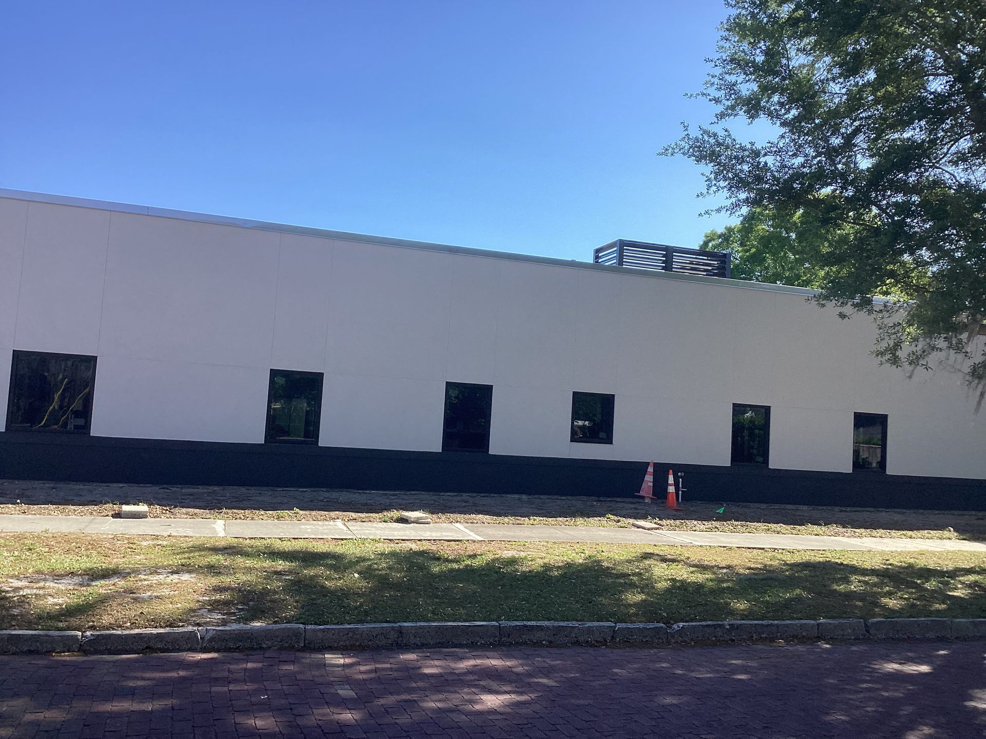 A large white building with a lot of windows and a tree in front of it