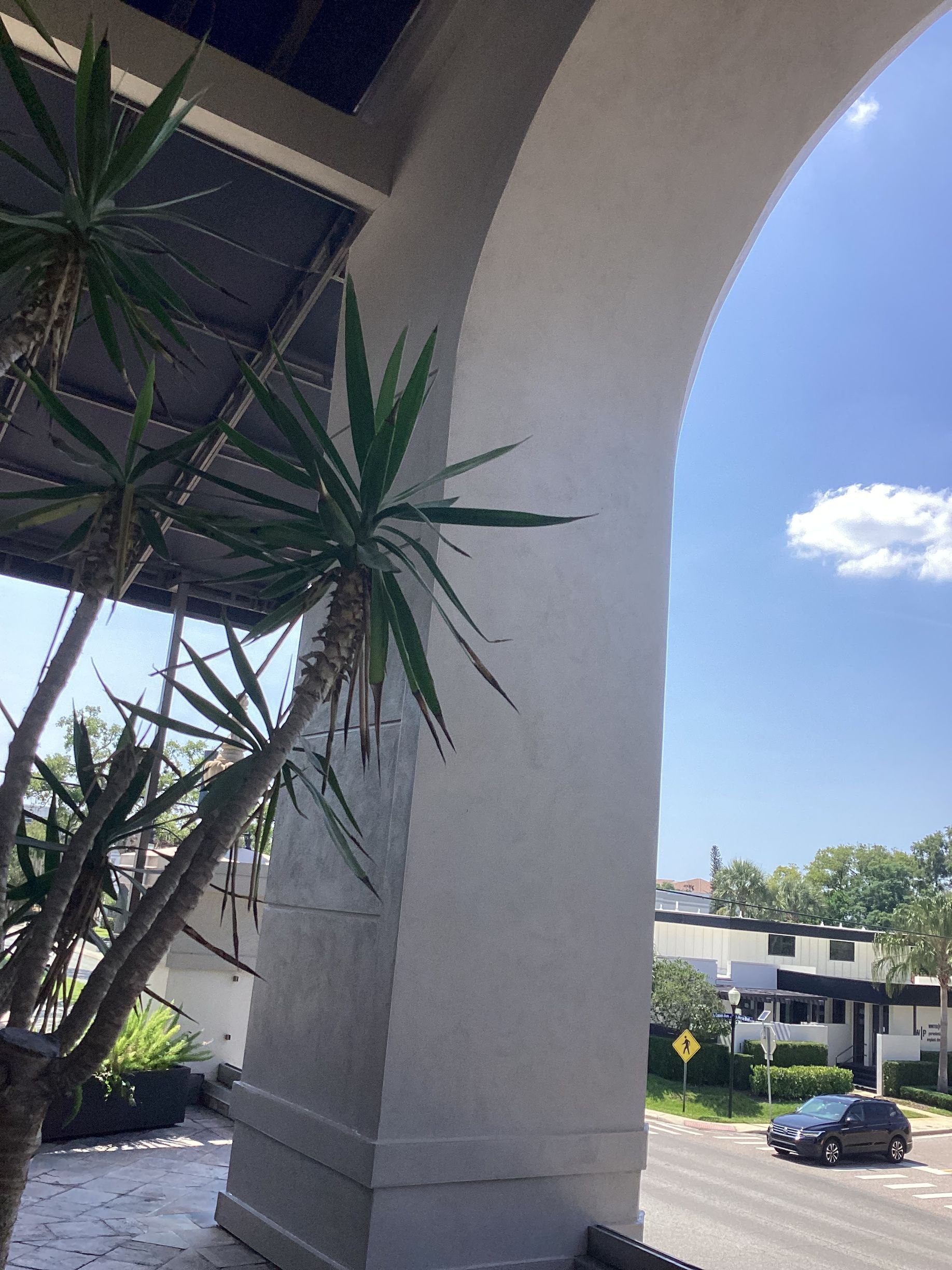 A car is driving under an archway with a palm tree in the foreground.