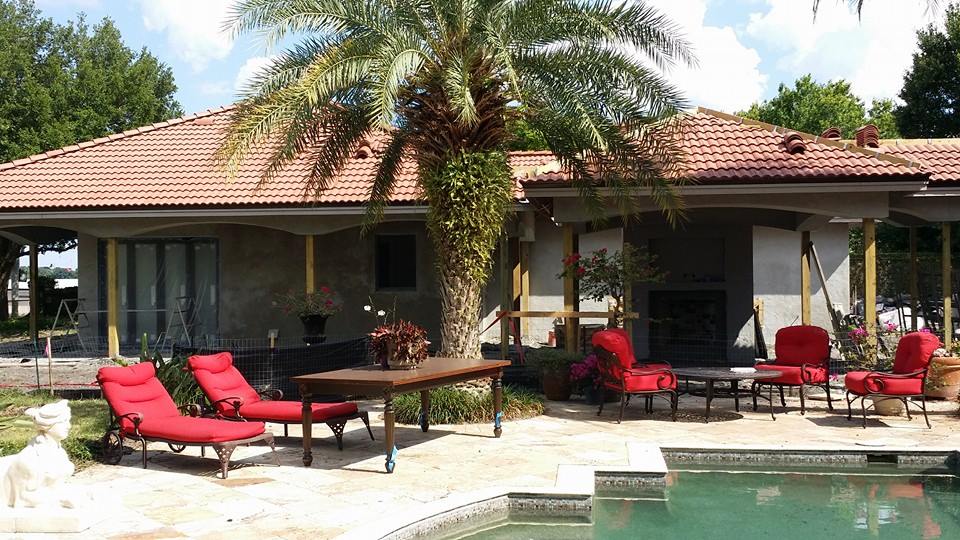 house with tropical tree and pool outside